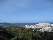 Point Lobos