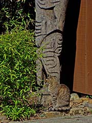 Picture/image of Just for Fun