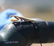 Picture/image of Just for Fun