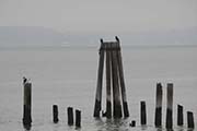 Picture/image of Point Pinole
