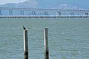 Picture/image of Miller-Knox Regional Shoreline