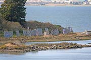 Picture/image of Albany Bulb
