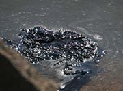 Picture/image of Oil Spill