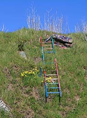 Picture/image of Albany Bulb