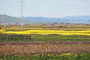 Picture/image of Las Gallinas Valley Sanitary