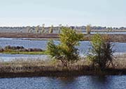 Picture/image of Llano Seco Unit