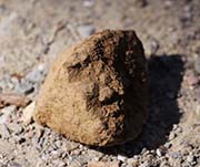 Picture/image of Del Valle Regional Park