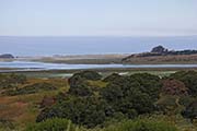 Picture/image of Elkhorn Slough