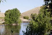 Picture/image of Contra Loma Regional Park