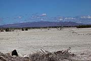 Picture/image of Salton Sea