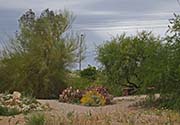 Picture/image of Gilbert Riparian Institute