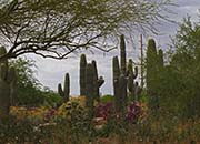 Gilbert Riparian Institute