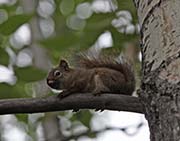 Picture/image of Anchorage