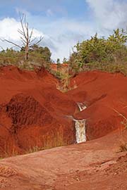 Picture/image of Kauai Hawaii