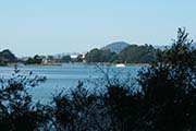 Picture/image of Aquatic Park