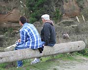 Picture/image of Bodega Bay