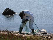 Picture/image of Oil Spill