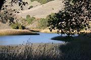 Briones Regional Park