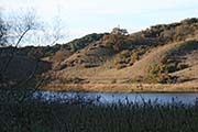 Picture/image of Briones Regional Park