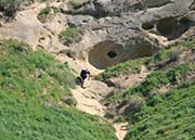 Picture/image of Black Diamond Mines