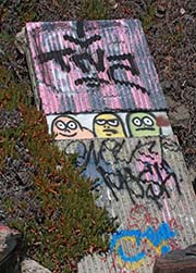 Picture/image of Albany Bulb