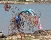Picture/image of Albany Bulb