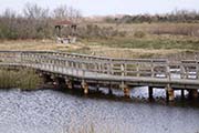 Picture/image of Brazoria NWR