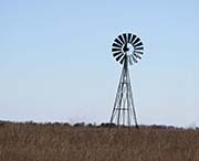 Attwater Prairie Chicken NWR