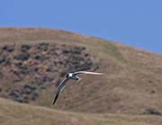 Picture/image of Ed Levin County Park