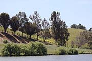 Picture/image of Ed Levin County Park