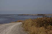 Picture/image of Don Edwards NWR