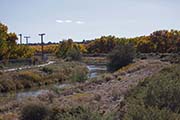 Picture/image of Rio Grande Nature Center
