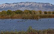 Picture/image of Rio Grande Nature Center