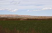 Picture/image of Bernardo Waterfowl Management Area