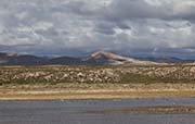 Picture/image of Bosque del Apache