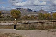 Picture/image of Bosque del Apache