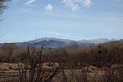 Picture/image of Big Morongo Canyon Preserve