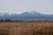 Picture/image of Sacramento Wildlife Refuge