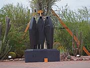 Picture/image of Desert Botanical Garden