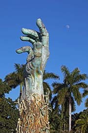 Picture/image of Florida