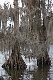 Picture/image of Northern Lake Pontchartrain
