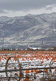 Picture/image of Utah