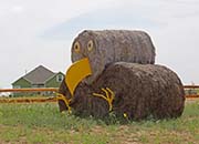 Picture/image of Just for Fun